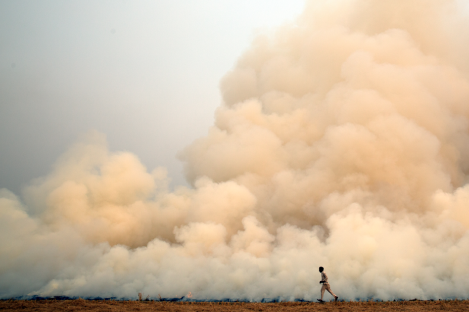 Image of Thick smoke billowing into the sky from crop stubble burning in Faridkot, India - a farming practice to clear the land.